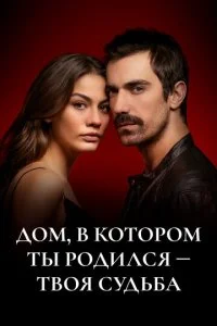 Дом, в котором ты родился, - твоя судьба (1-2 сезон)
