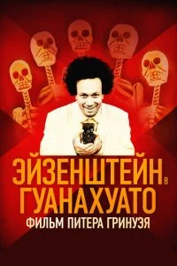 Эйзенштейн в Гуанахуато (2015)
